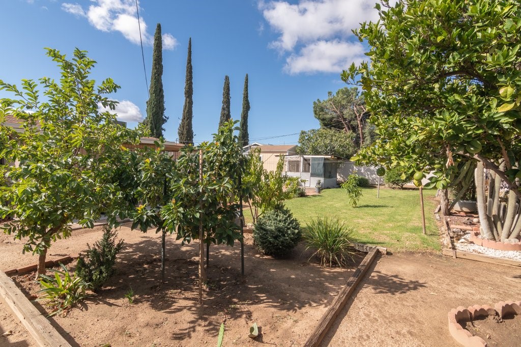 MLS #SW25244775 image #39