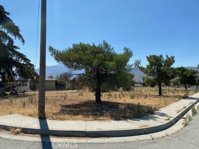 MLS #TR24179086 image #2