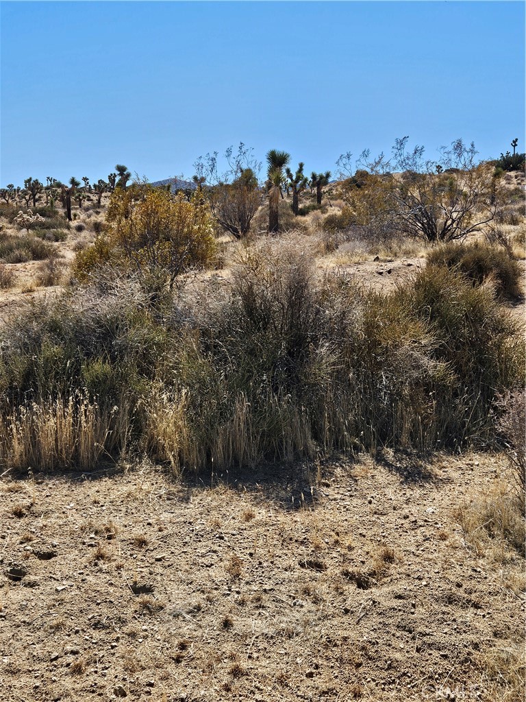 MLS #TR25032098 image #1