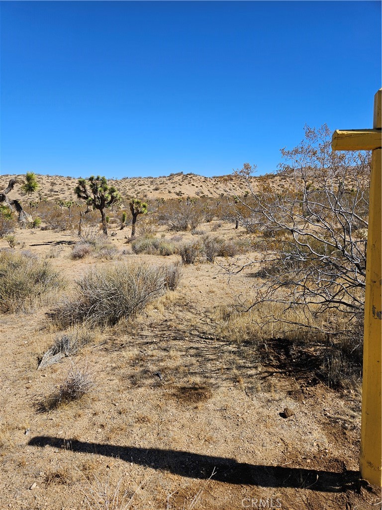 MLS #TR25032098 image #3