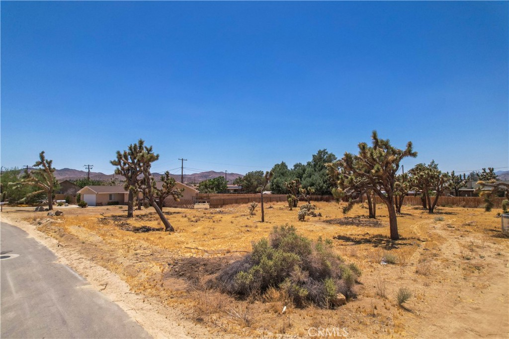 MLS #TR25036135 image #10