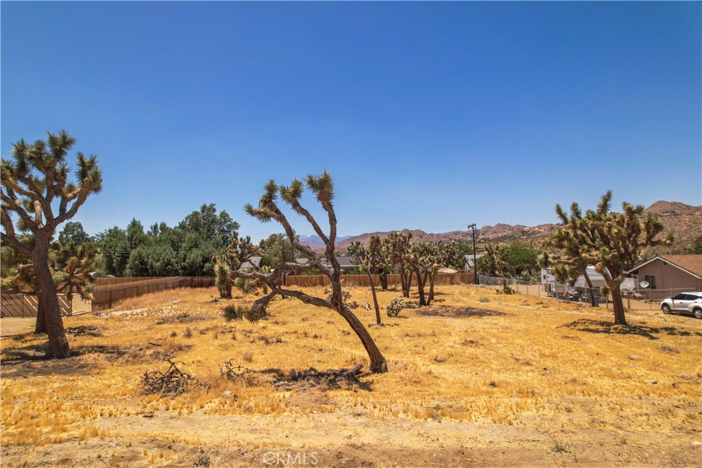 MLS #TR25036135 image #11