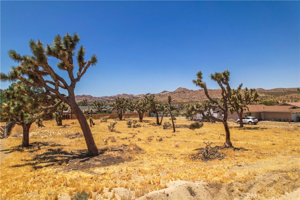 MLS #TR25036135 image #12