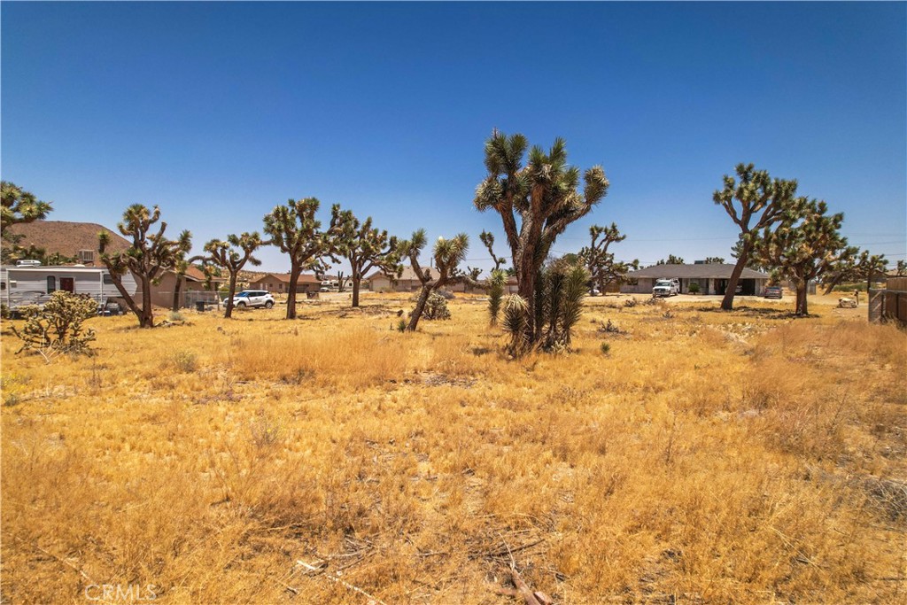 MLS #TR25036135 image #15