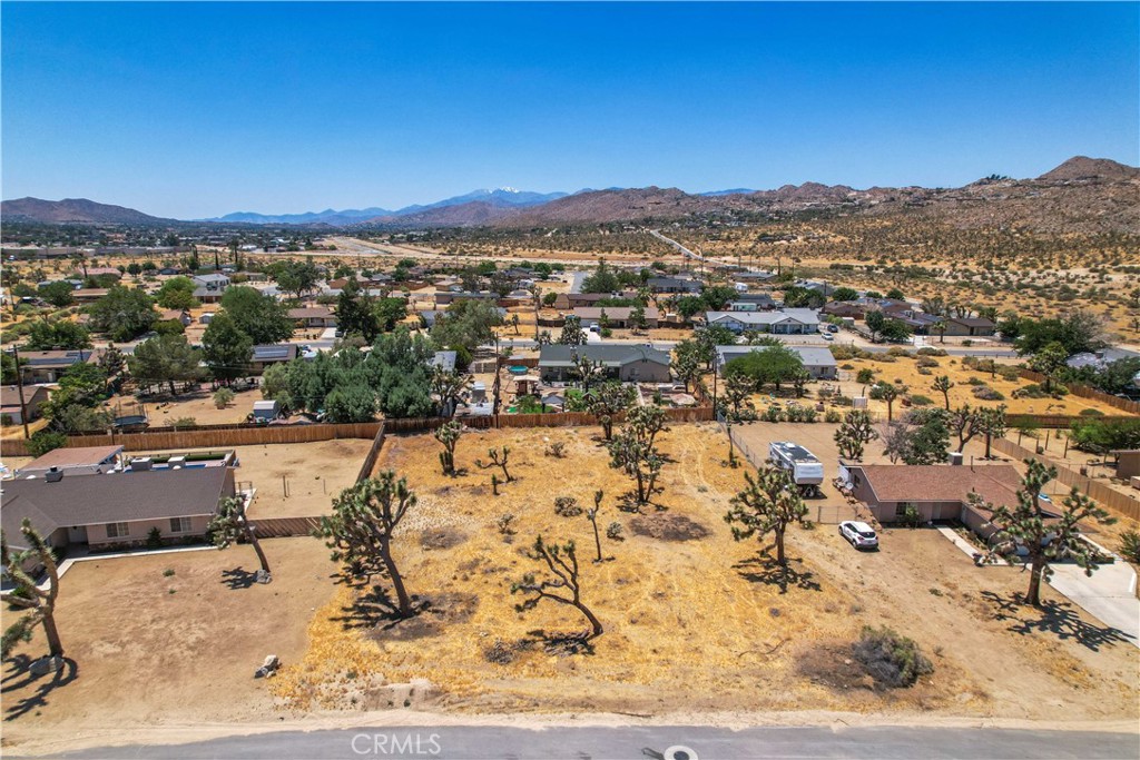 MLS #TR25036135 image #4