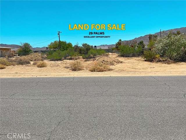 MLS #TR25121534 image #9