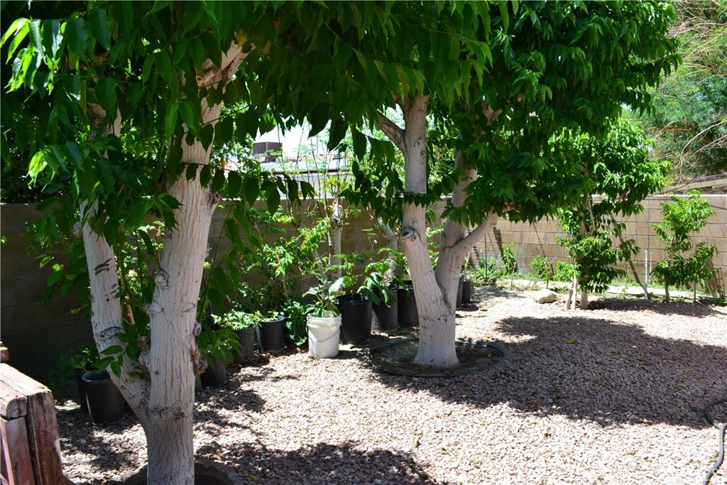 MLS #TR25140593 image #11