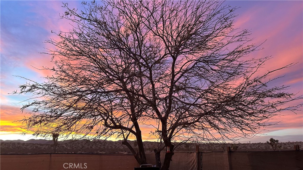 MLS #TR25179130 image #32