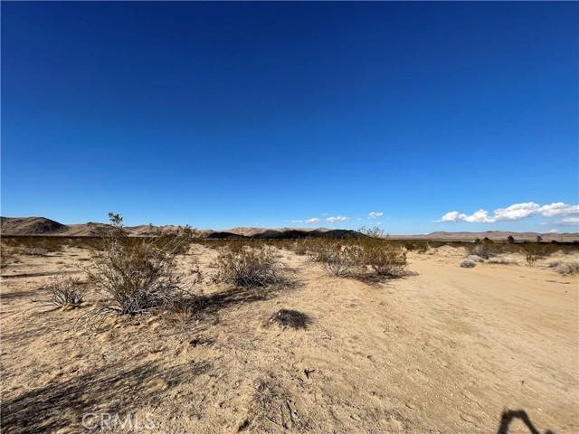 MLS #TR25180751 image #4