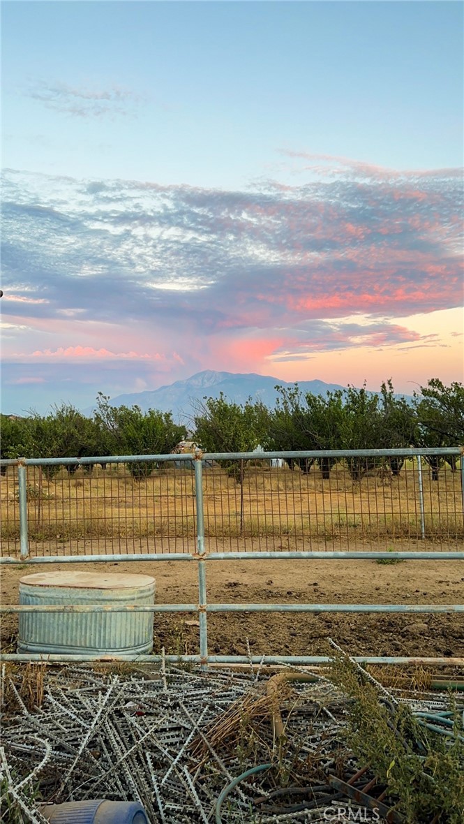 MLS #TR25220275 image #1