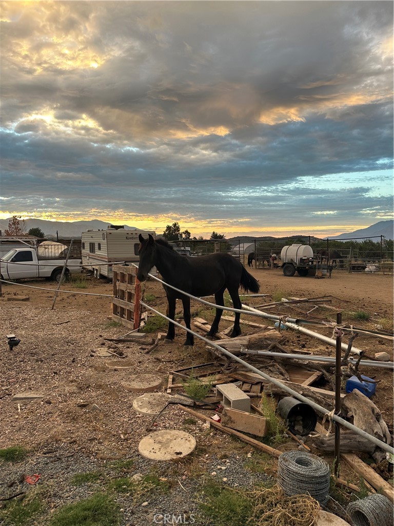 MLS #TR25220275 image #3