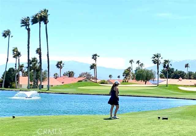 MLS #TR25229779 image #5