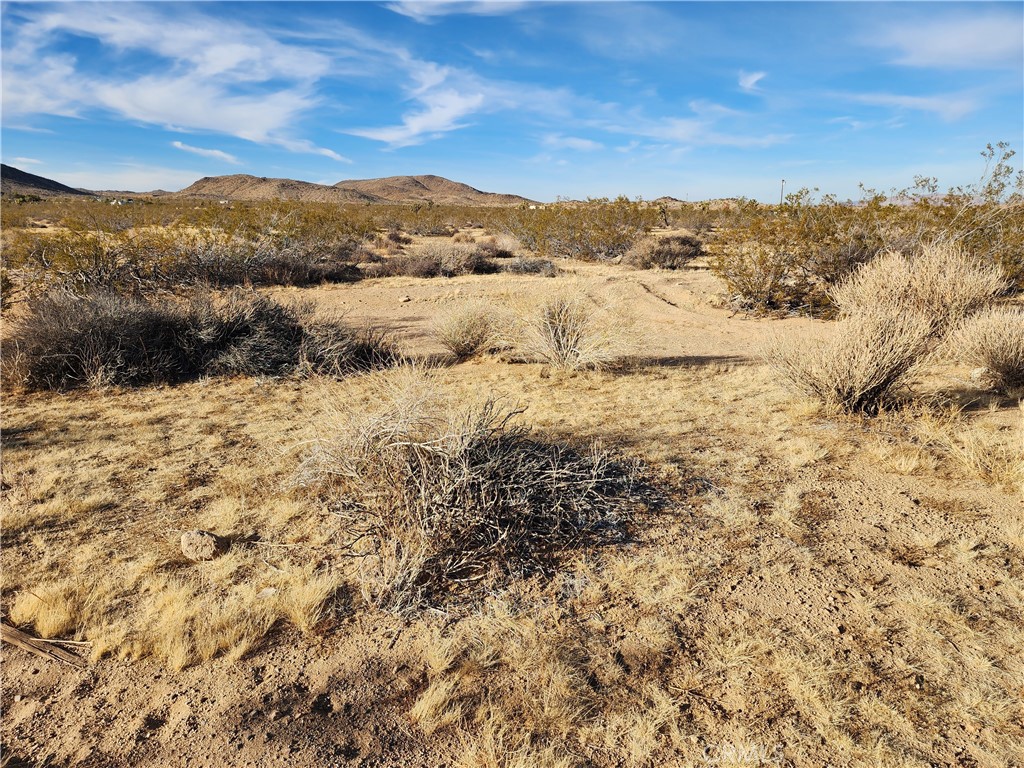 MLS #WS23203577 image #10