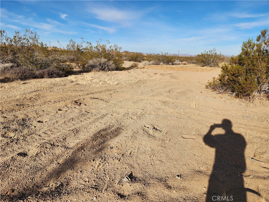 MLS #WS23203577 image #11