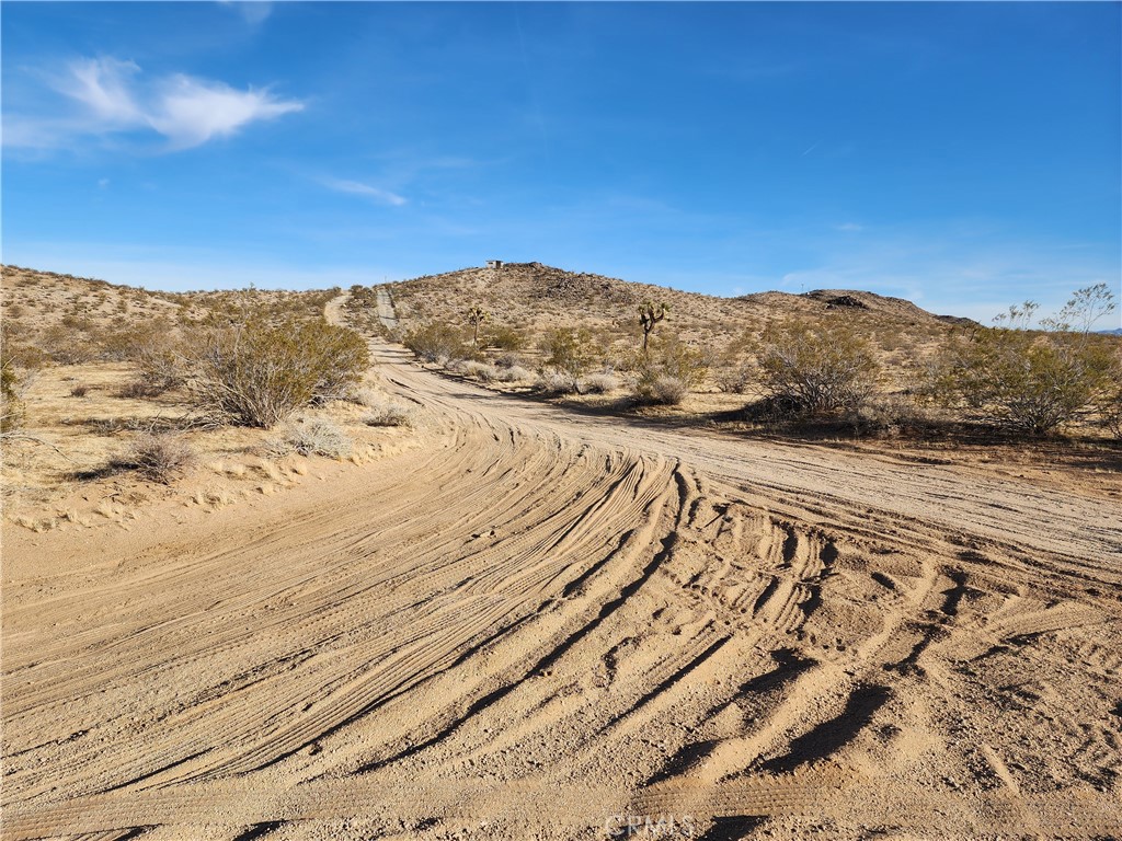 MLS #WS23203577 image #13