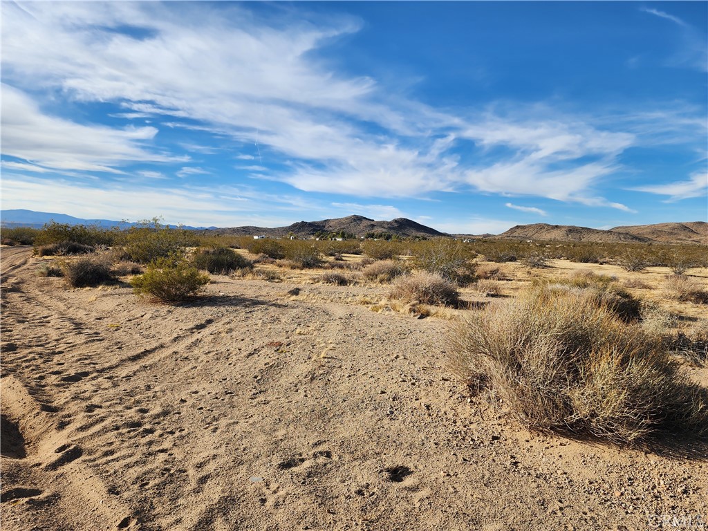 MLS #WS23203577 image #4