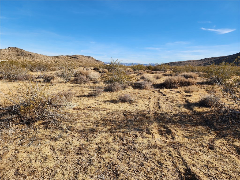 MLS #WS23203577 image #5