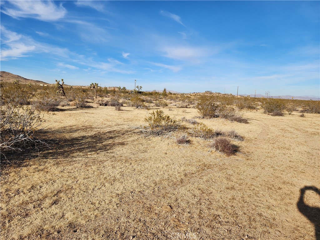 MLS #WS23203577 image #6