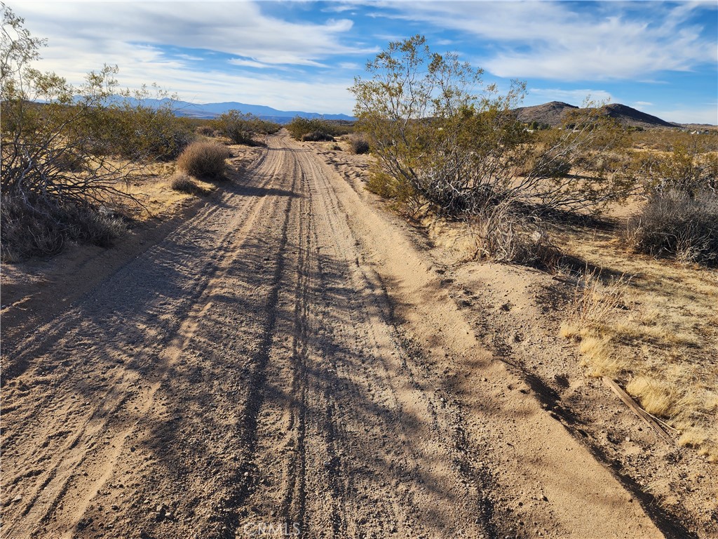 MLS #WS23203577 image #9