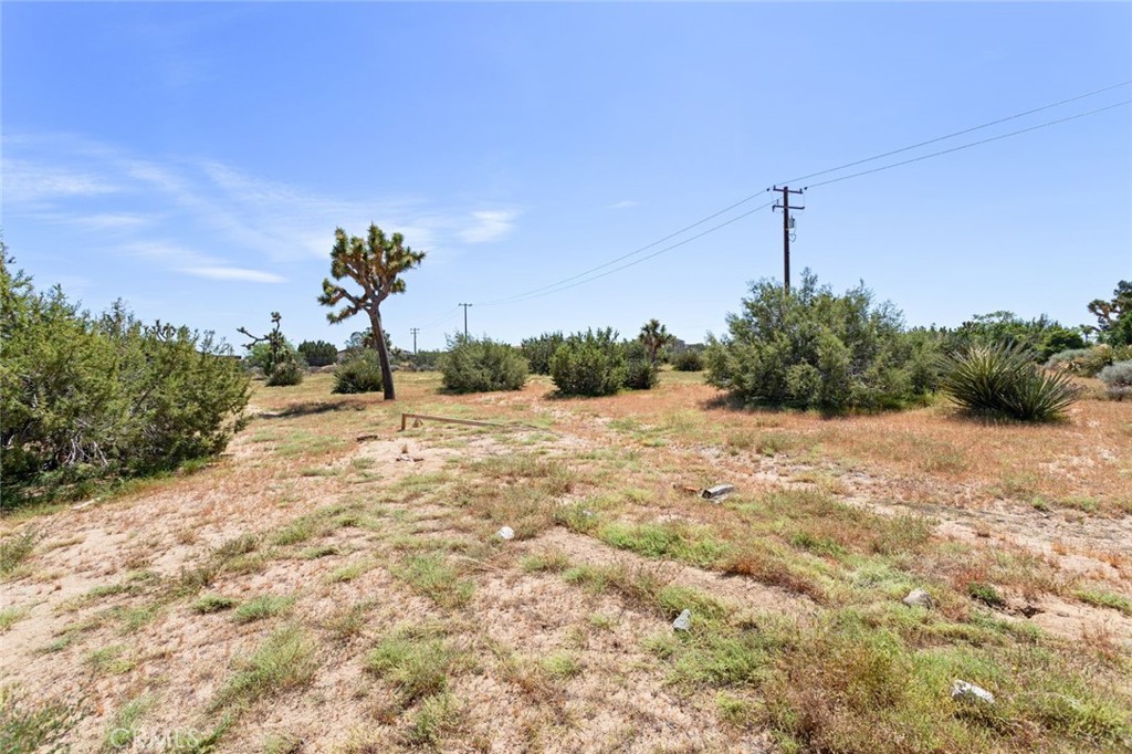 MLS #WS25083273 image #32