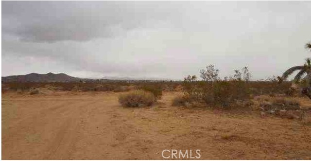 MLS #WS25187752 image #9