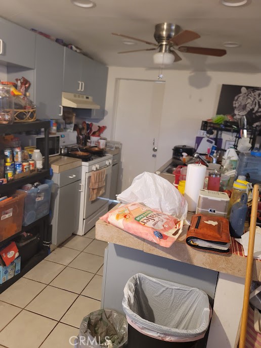 MLS #WS25249924 image #2