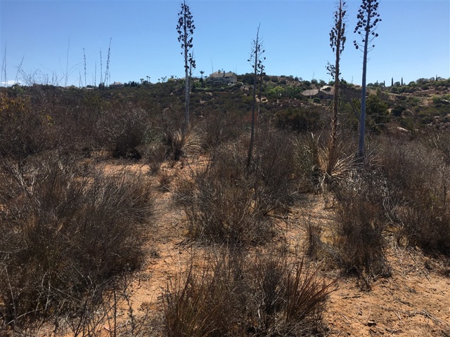 MLS #180051747 image #7