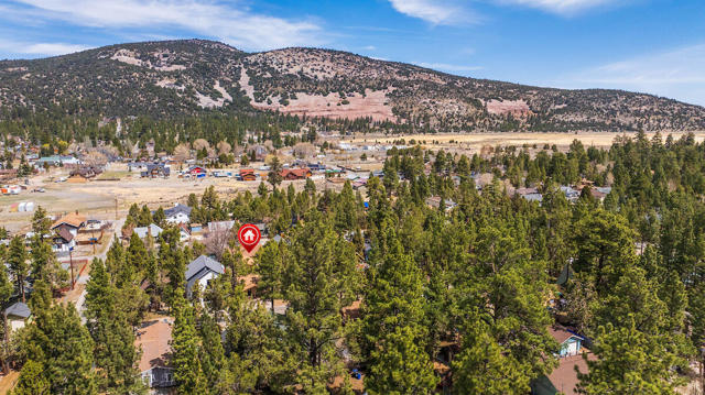 MLS #219132651DA image #6