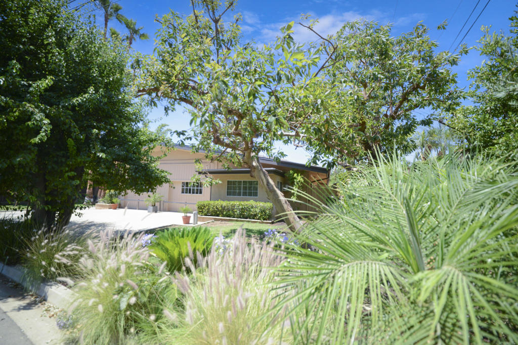 MLS #219134632DA image #64