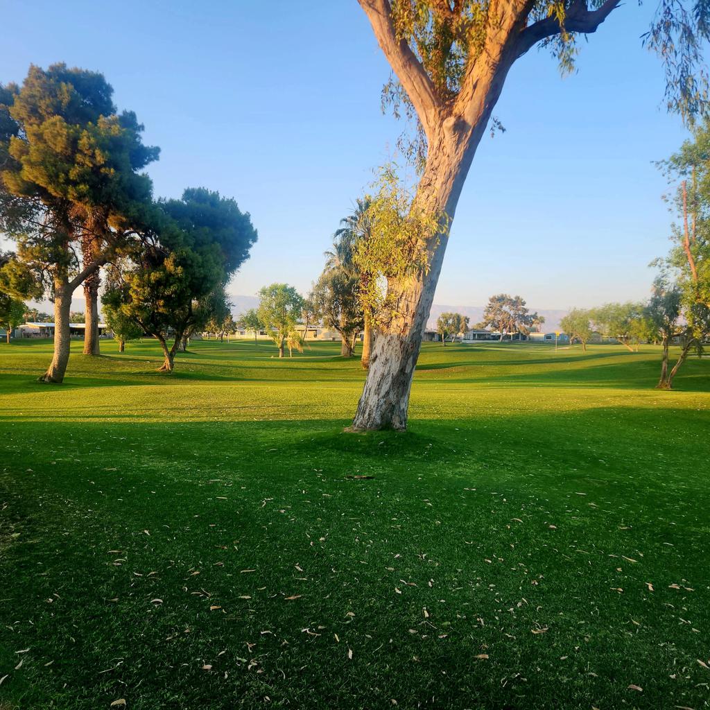 MLS #219134726DA image #39