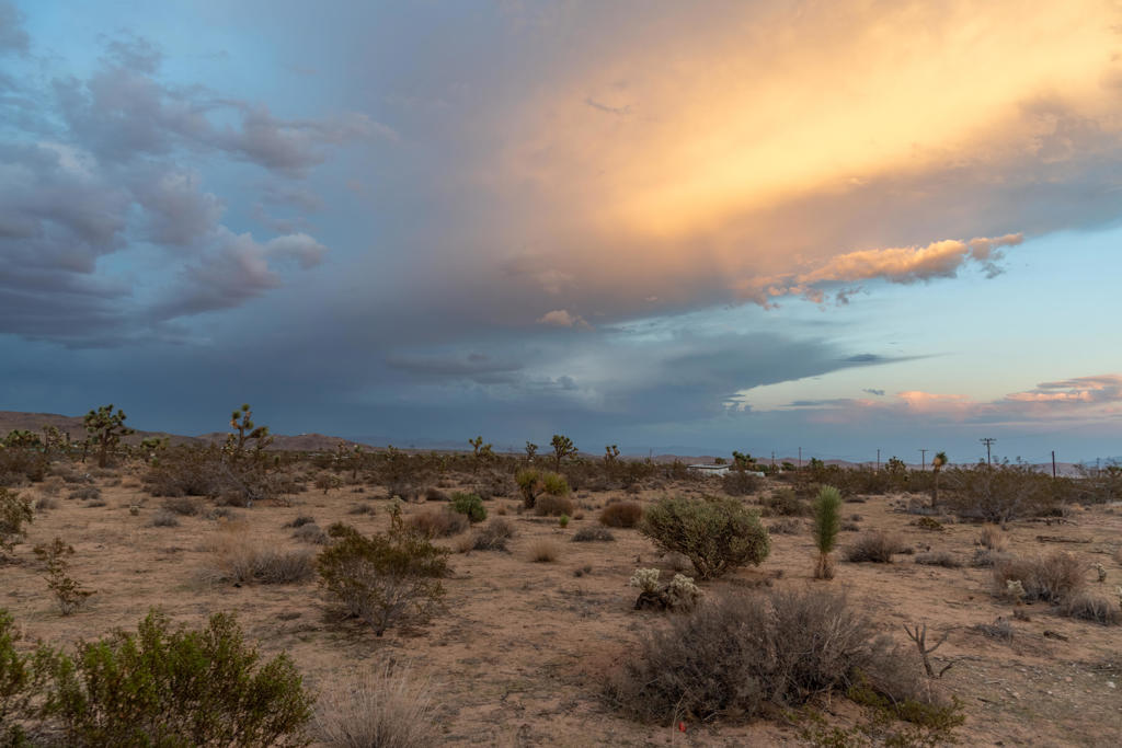 MLS #219136233DA image #8