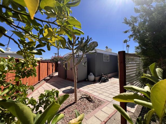 MLS #219136300DA image #12