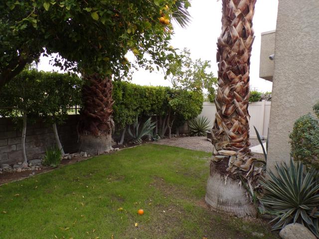 MLS #219138745DA image #11