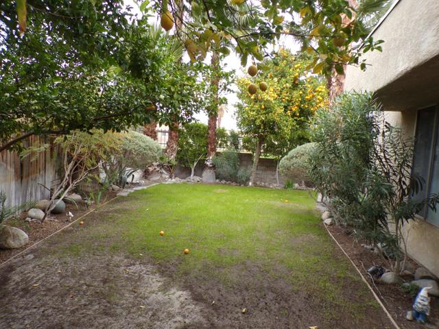 MLS #219138745DA image #9