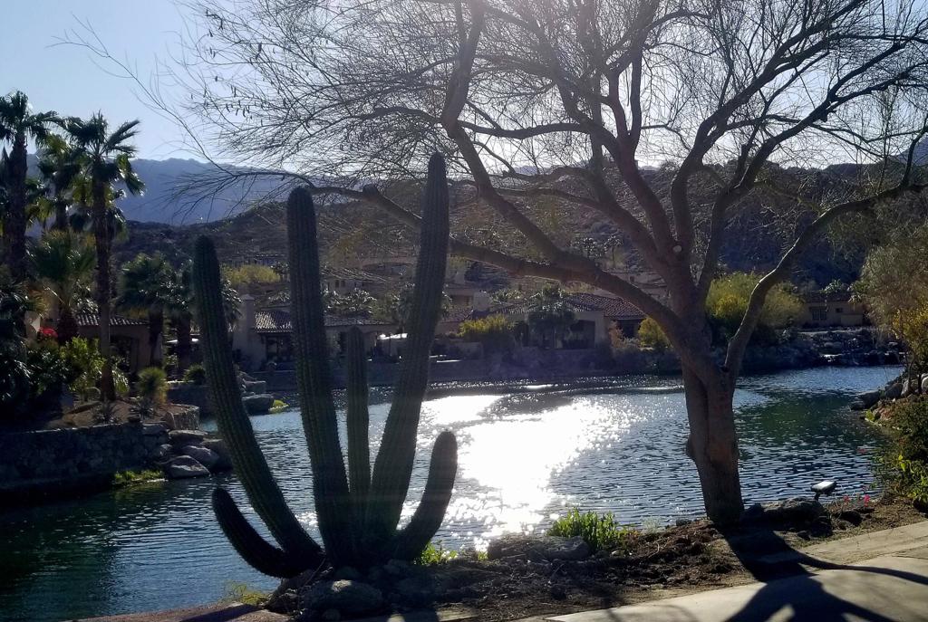 MLS #219139467DA image #9