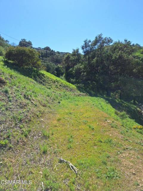 MLS #225001786 image #4