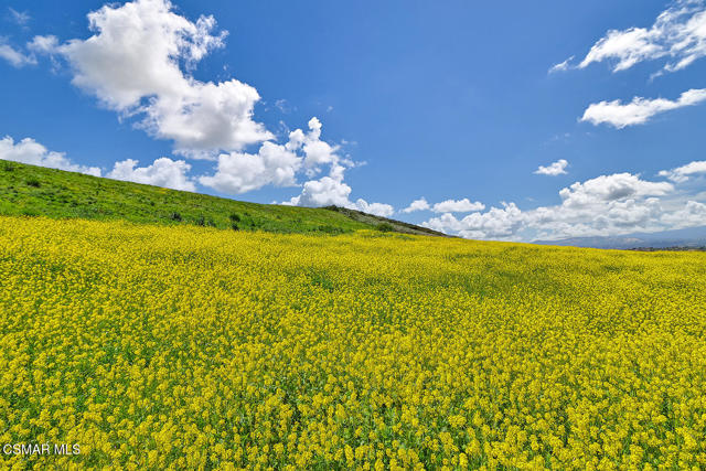 MLS #225002376 image #20