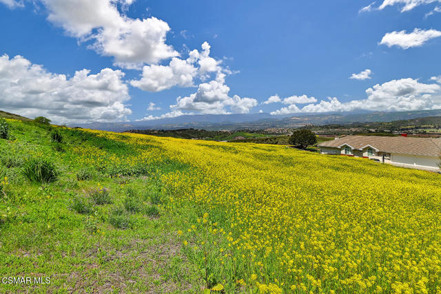 MLS #225002376 image #21