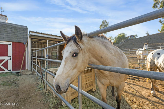 MLS #225003494 image #54