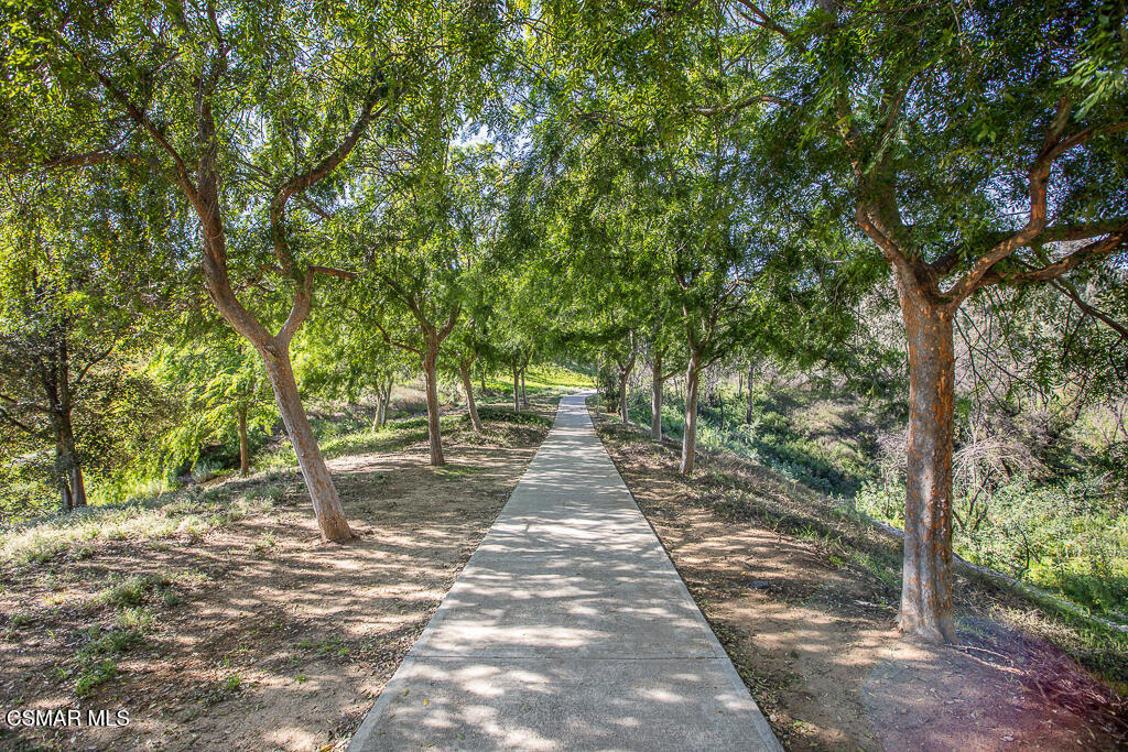 MLS #225003689 image #41