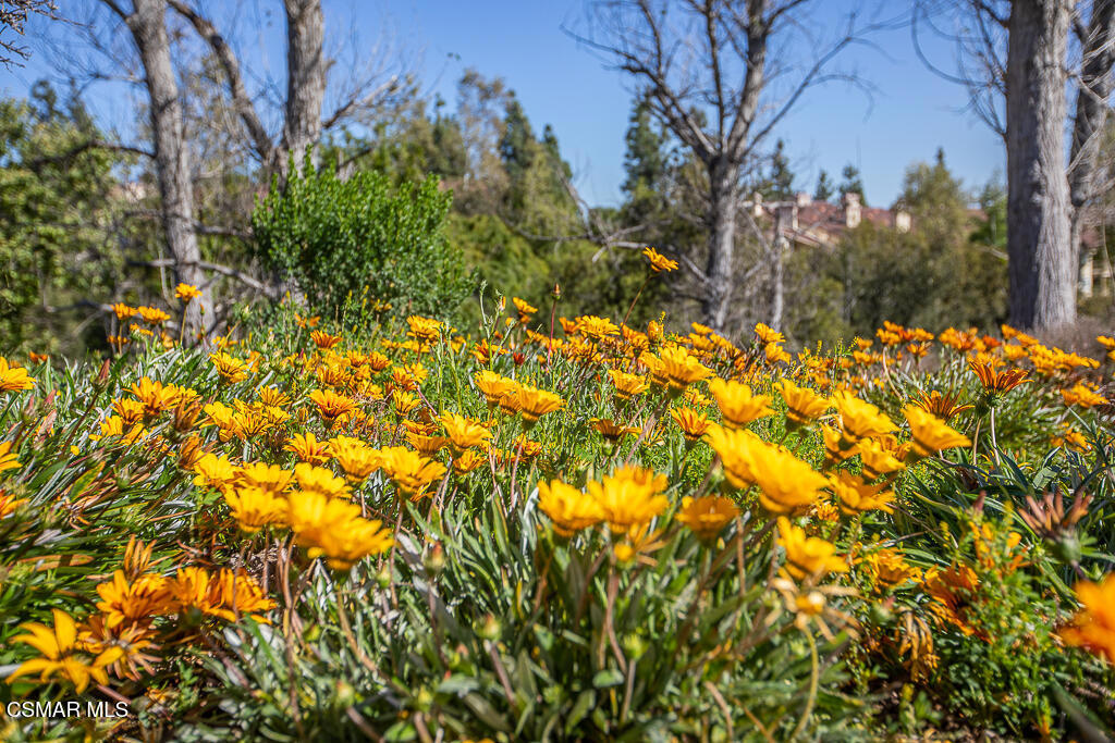 MLS #225003689 image #42