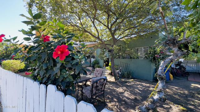 MLS #225003754 image #8