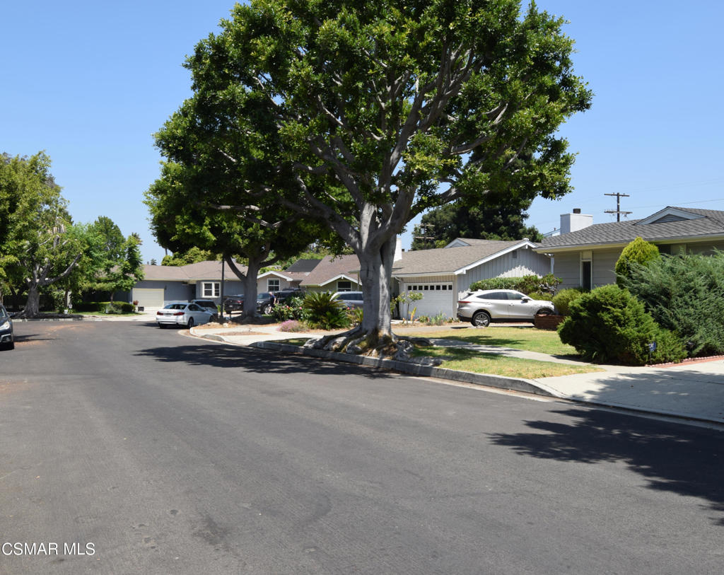 MLS #225003872 image #25