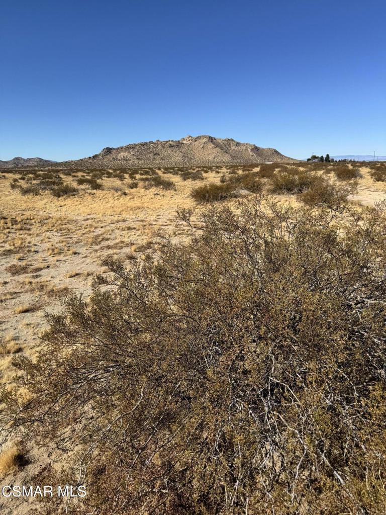 MLS #225004872 image #1