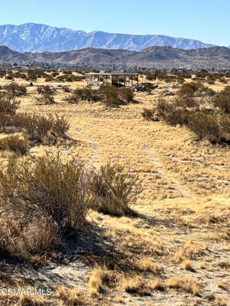 MLS #225004872 image #2