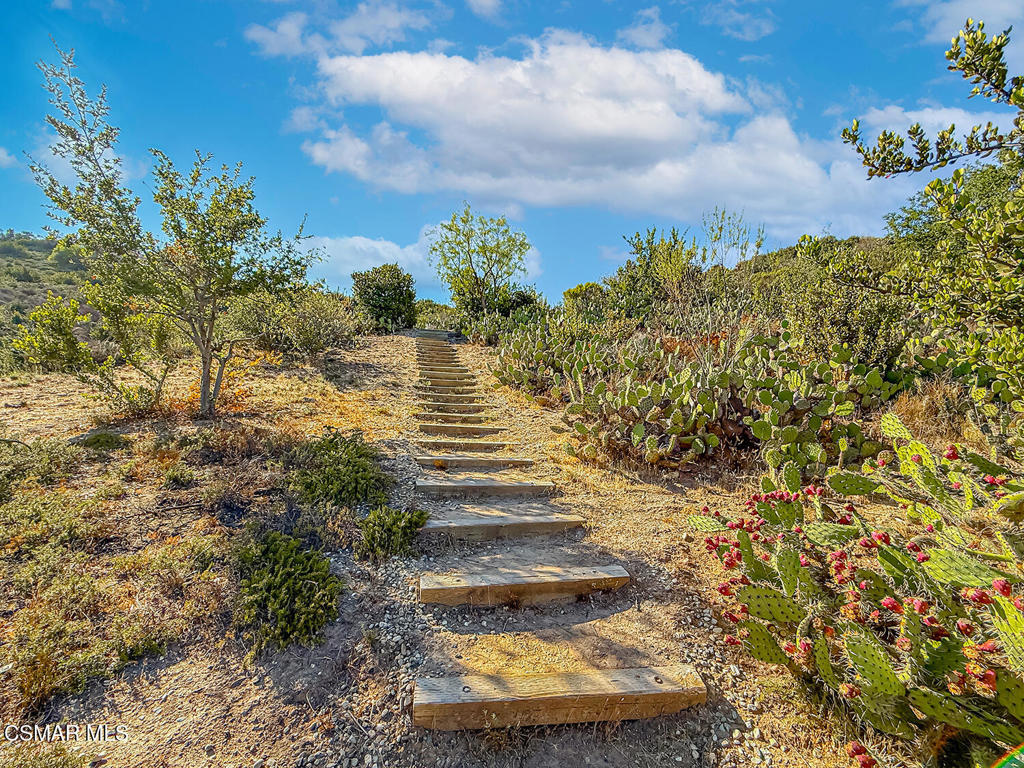 MLS #225004919 image #40