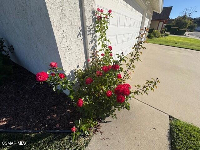 MLS #225005217 image #25