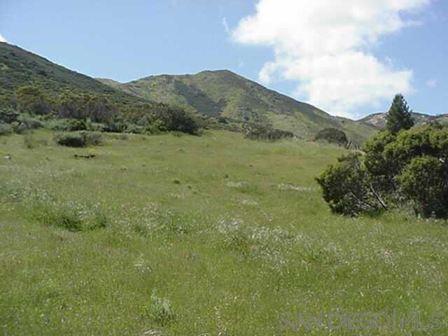 MLS #240025516SD image #4