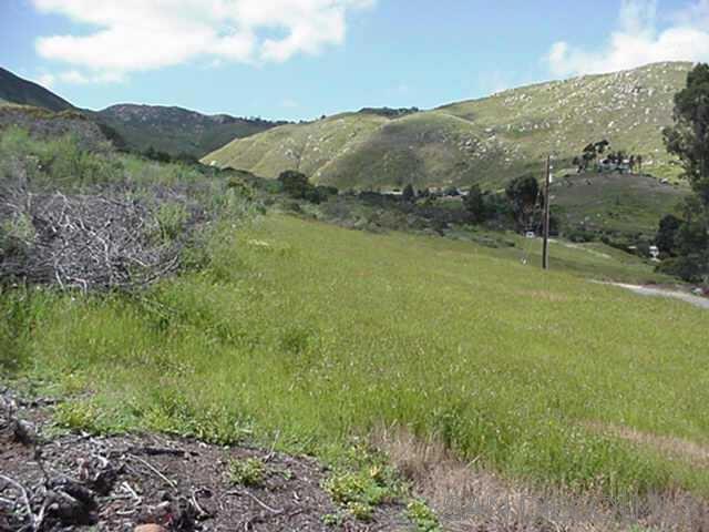 MLS #240025516SD image #5