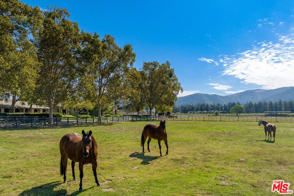 MLS #24460577 image #47